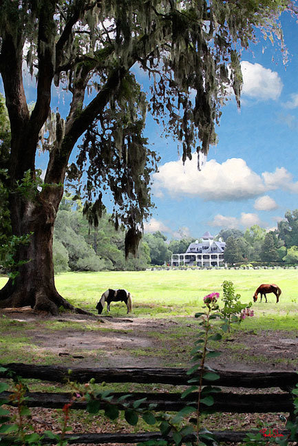 "Magnolia Gardens Horse Pasture"