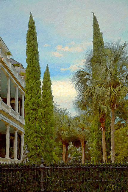 "Calhoun Mansion Tree Tops"