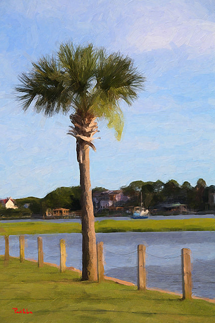 "Pitt Street Palmetto"