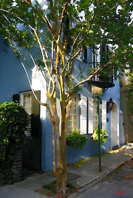 Lower Tradd Street I