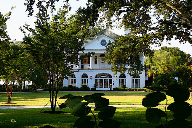 "Lowndes Grove Plantation"