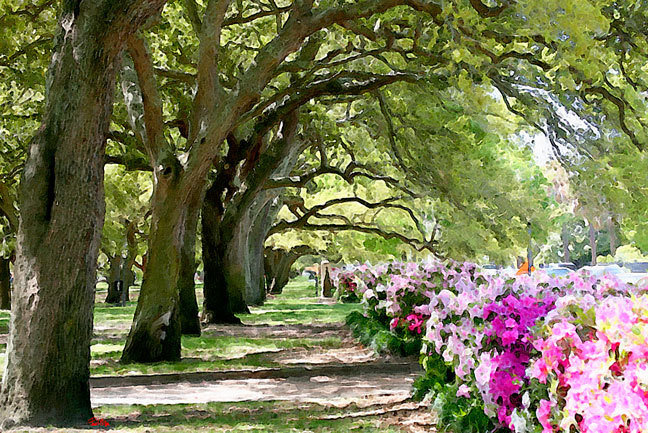 "White Point Garden"