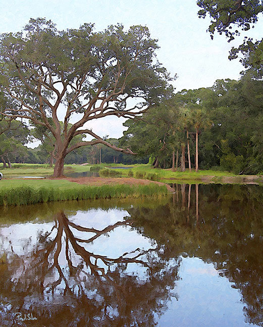 "Kiawah Reflection"
