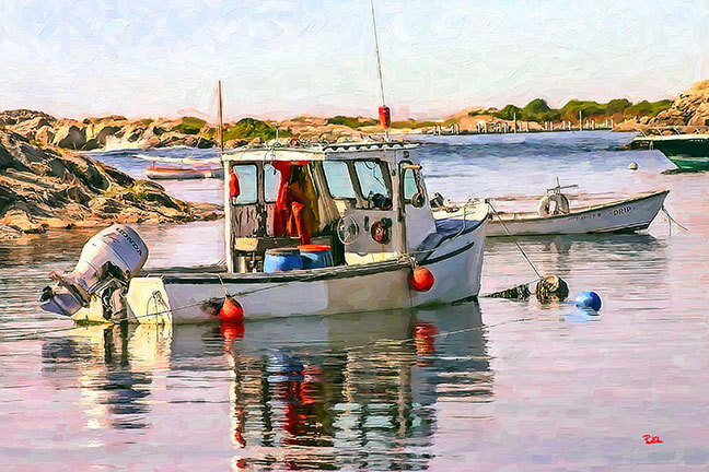 "Safe Harbor"