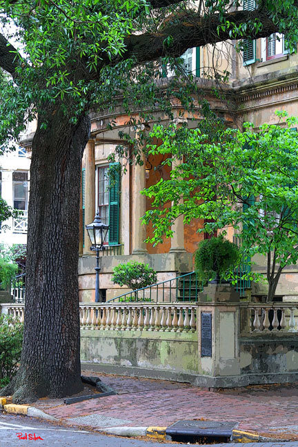 Savannah Street