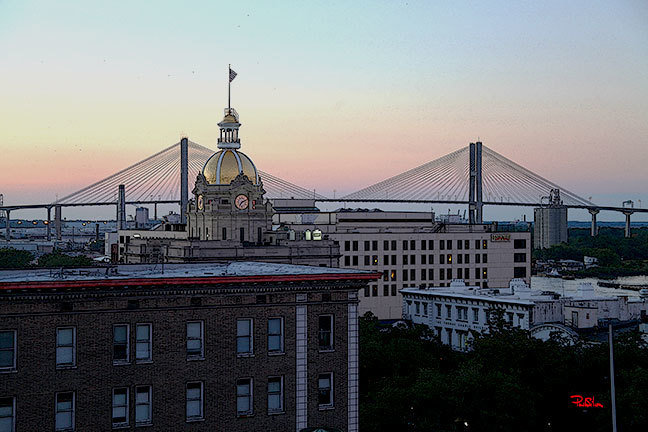"Savannah Skyline"