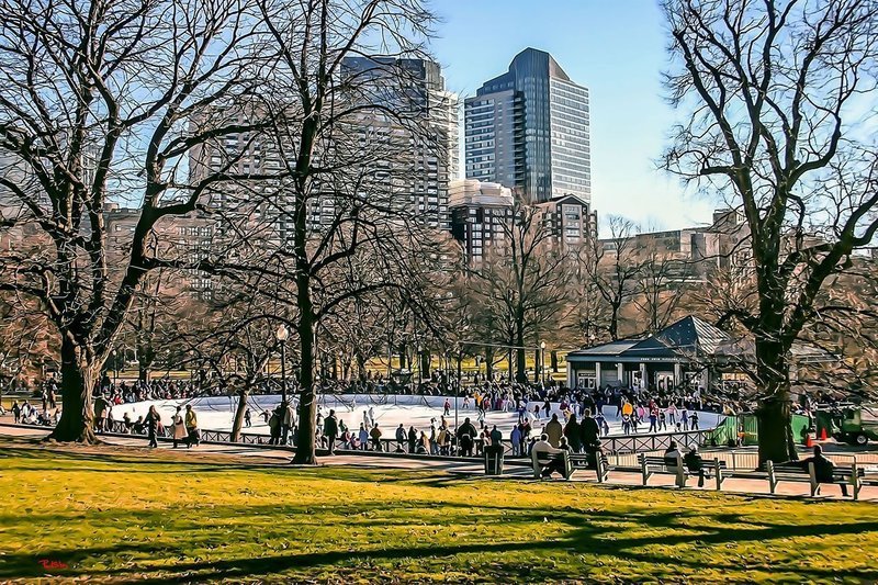 "Boston Commons Frog Pond Skating"
