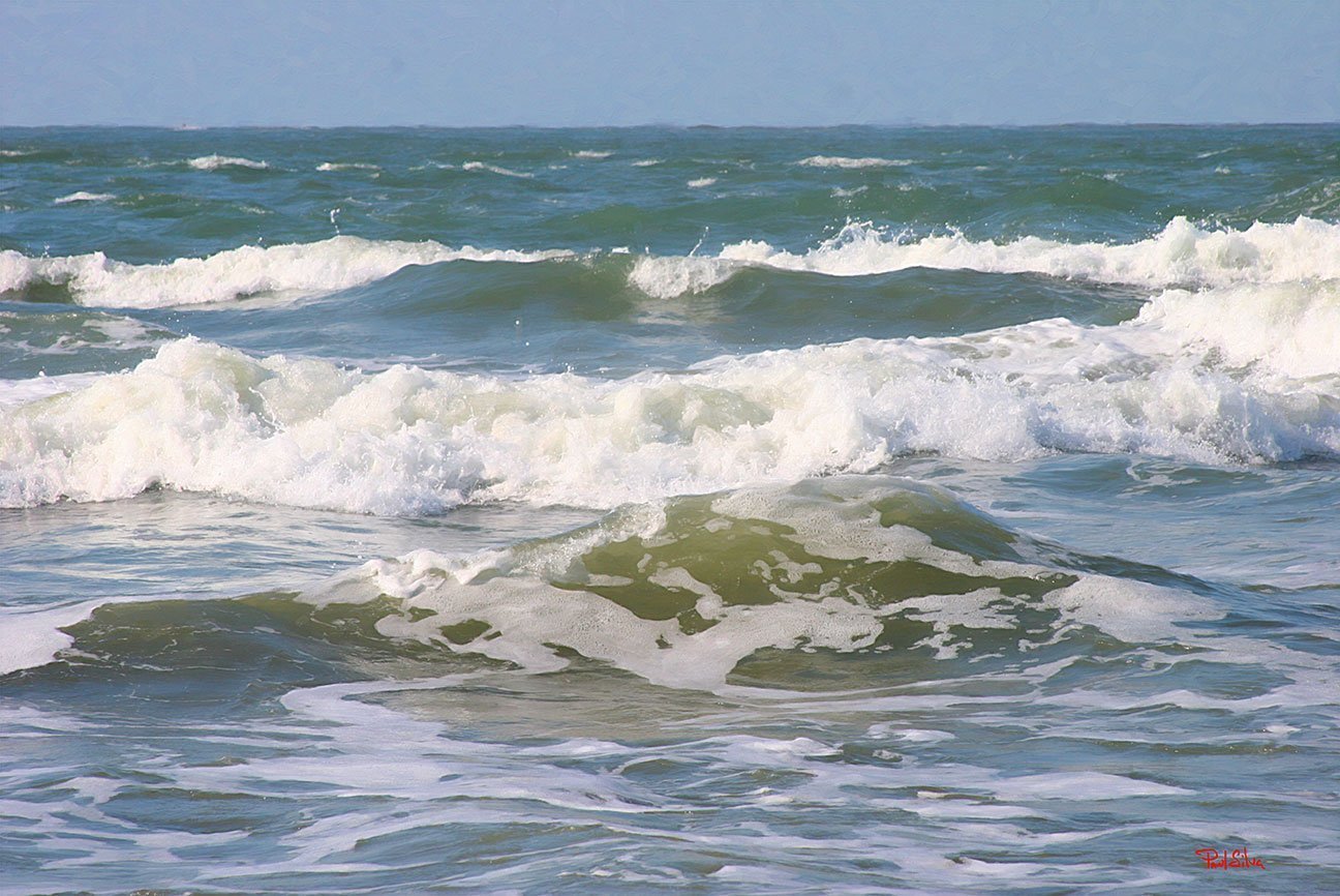 "SC Surf"