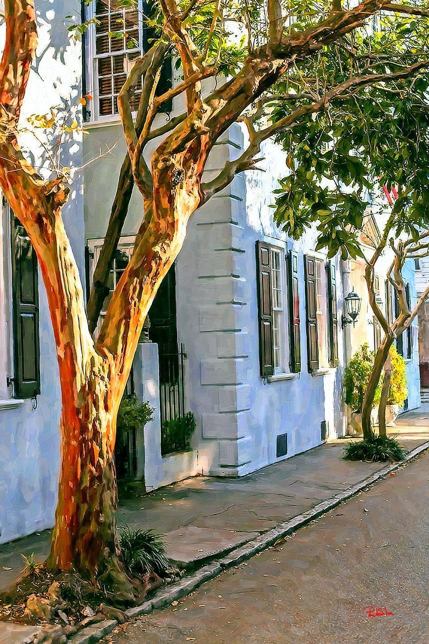 "King Street Myrtles