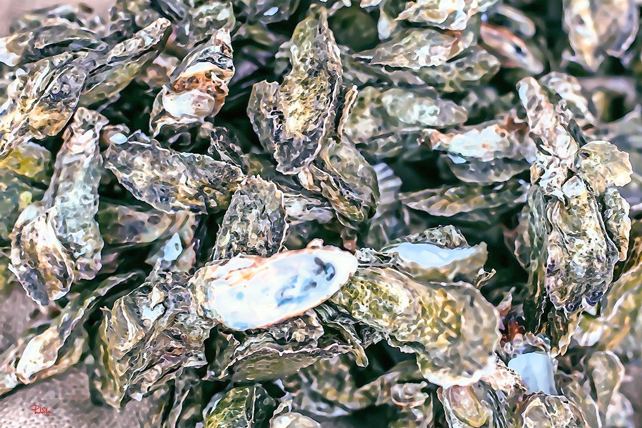 "Oyster Catch"
