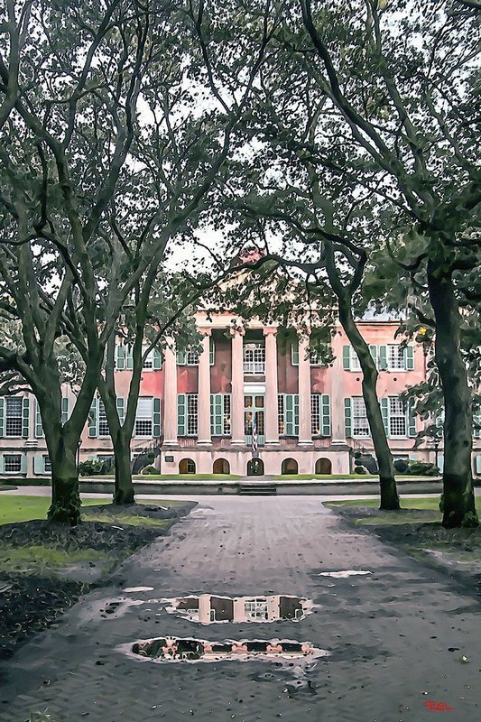 "College of Charleston Refections"