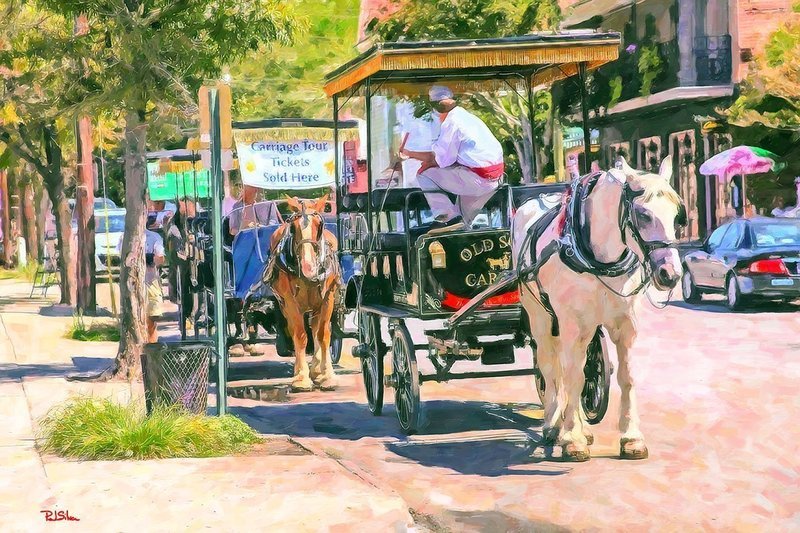 "Charleston Carriage Tours"