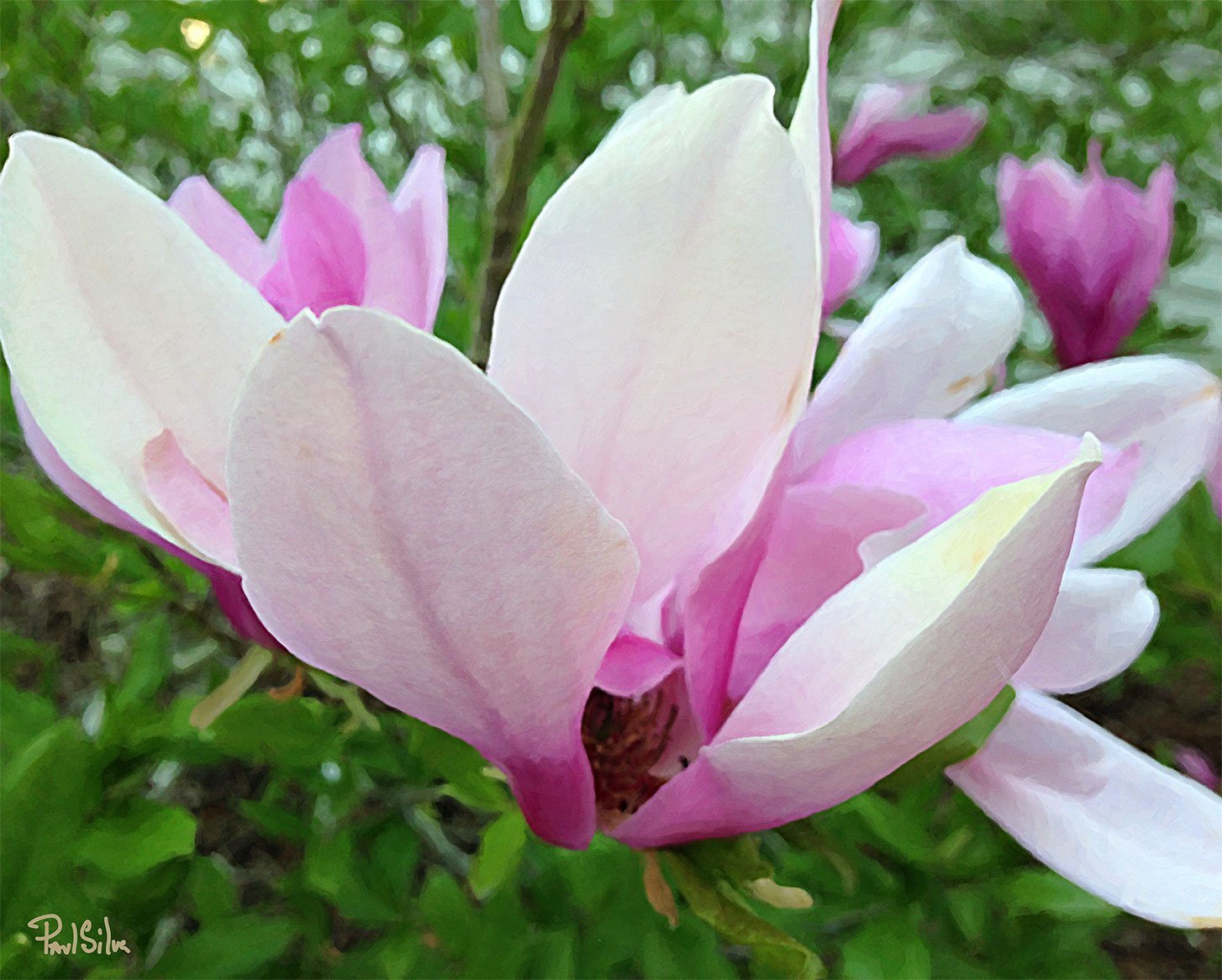 "Lodge Alley Floral"