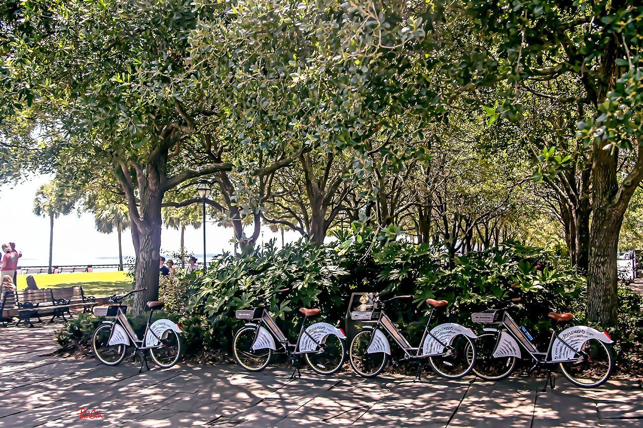 "White Point Gardens Bicycles"
