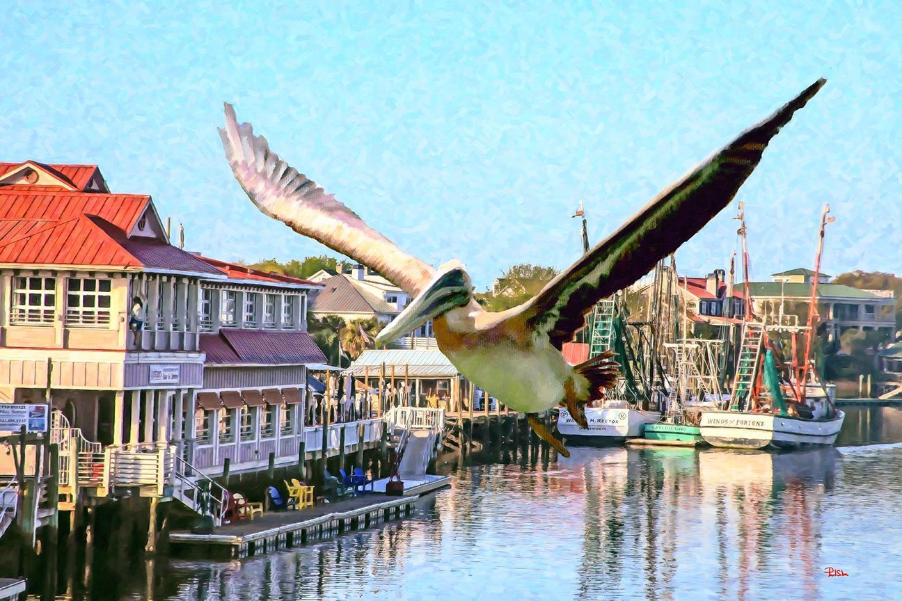 "Pelican Flight"