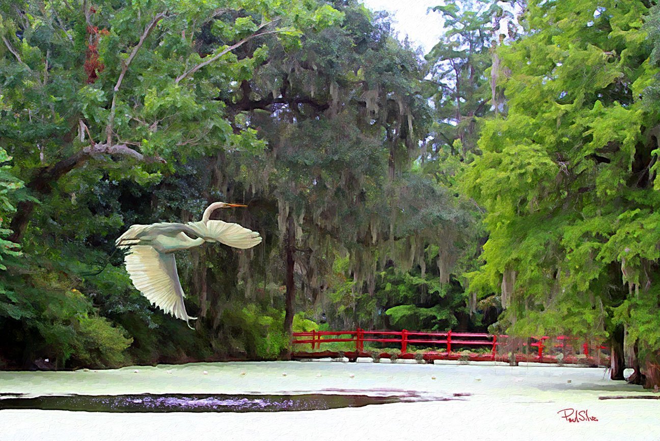 "Magnolia Gardens Red Bridge Egret"