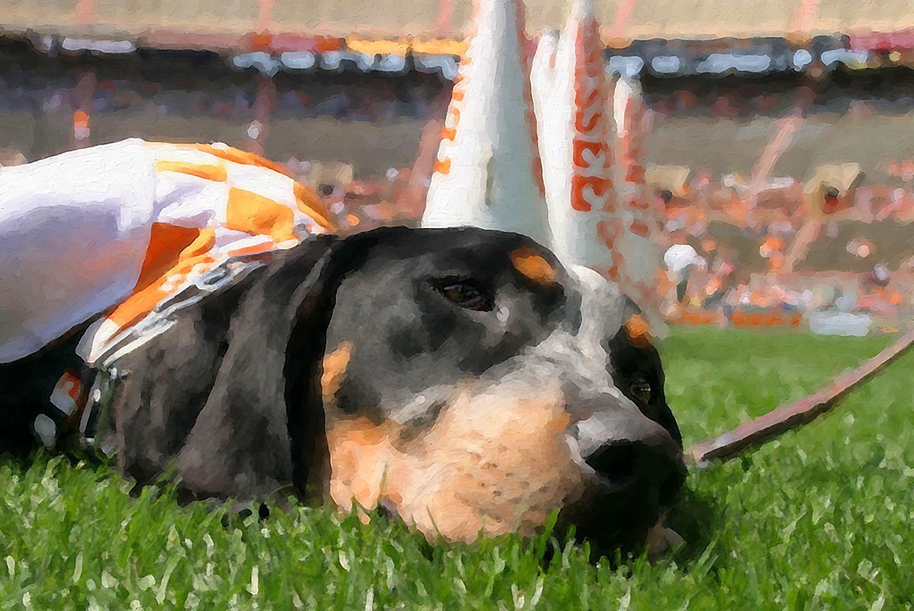 "Tennesee Smokey"