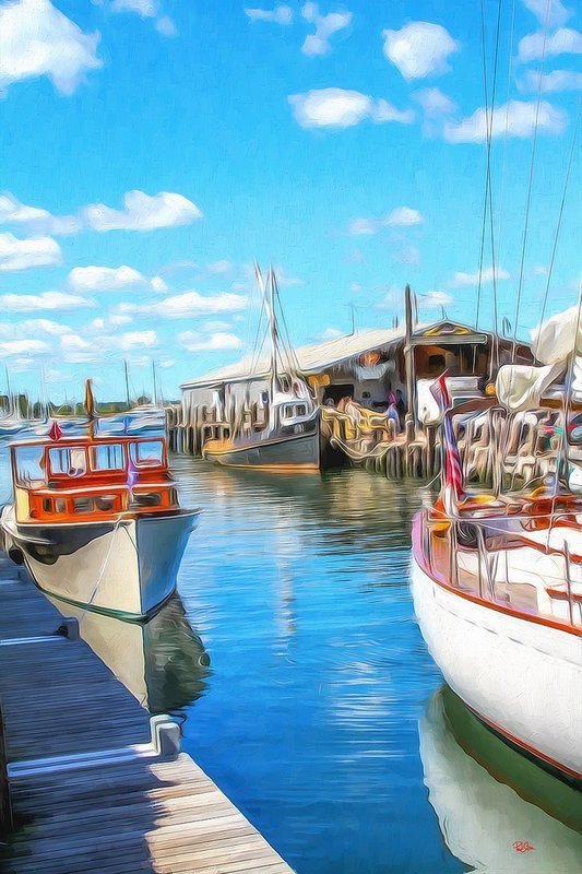 "Vibrant Life Newport Summer Harbour"