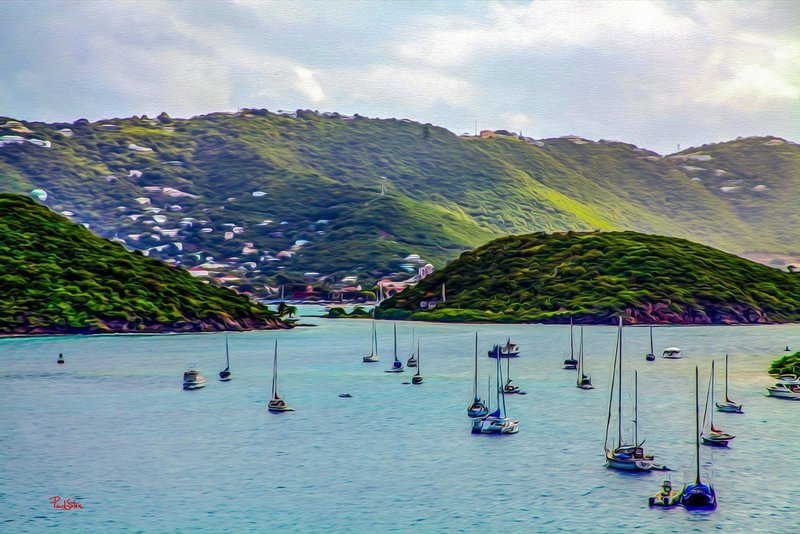"Vibrant Life Saint Thomas Harbor"