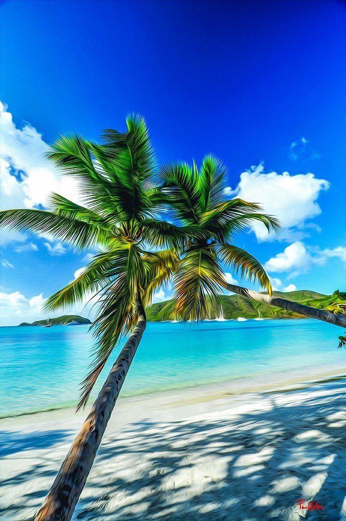 "Vibrant Life Twin Palms"