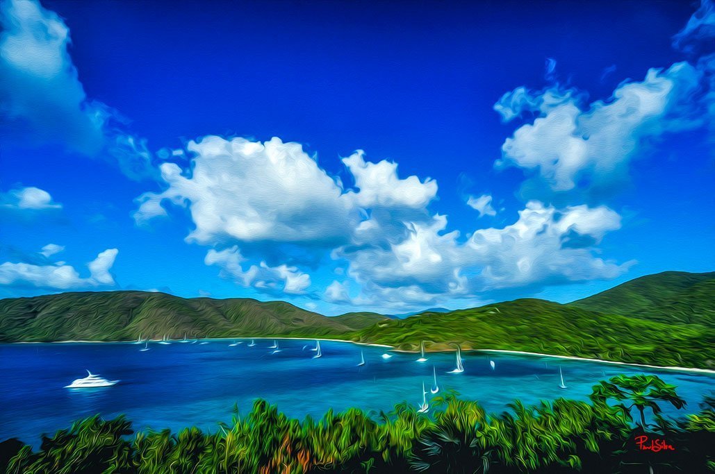 "Vibrant Life Safe Harbor"