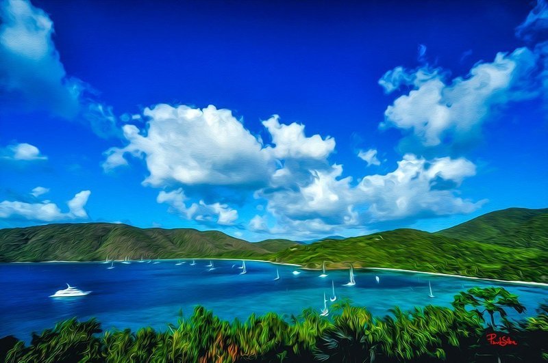 "Vibrant Life Safe Harbor"