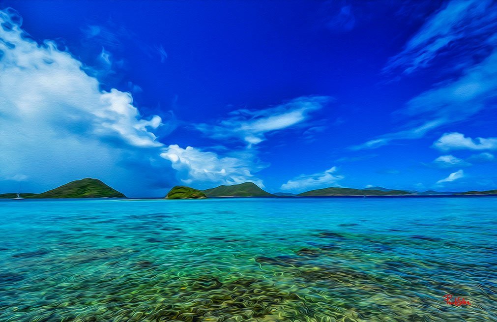 "Vibrant Life Snorkler's Heaven"