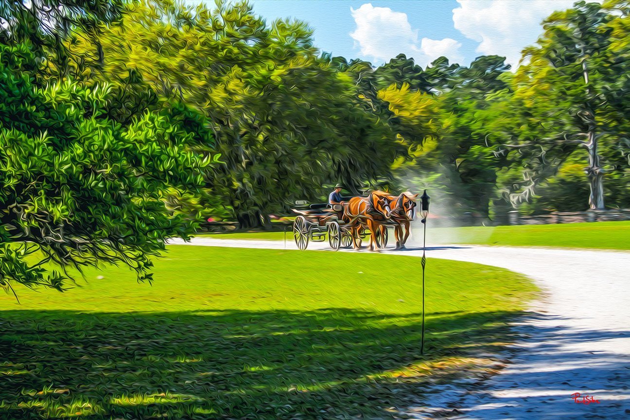 "Middleton Place 8906"