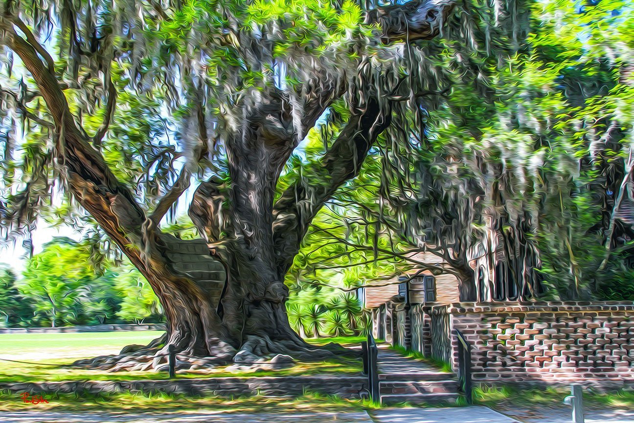 "Middleton Place 8896"