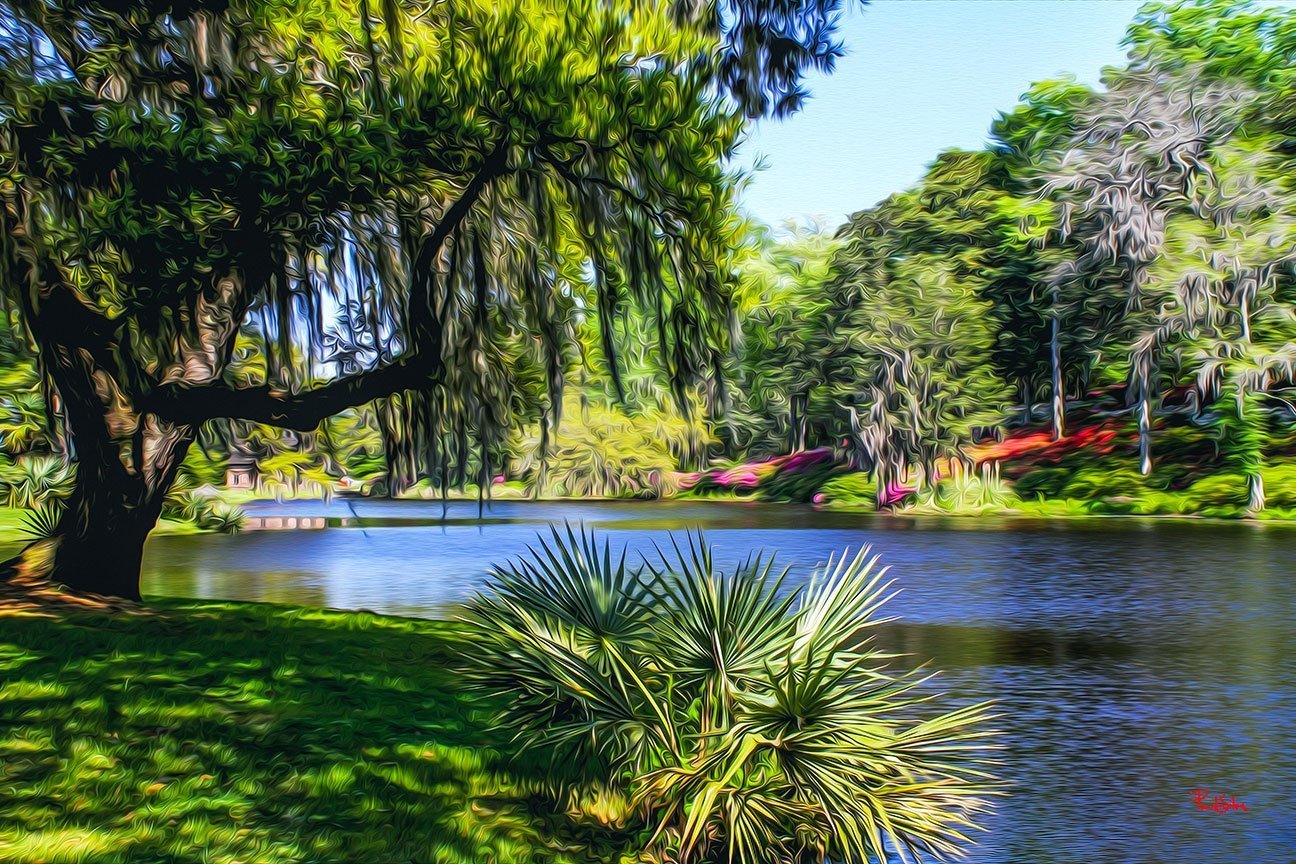"Middleton Place 8768"