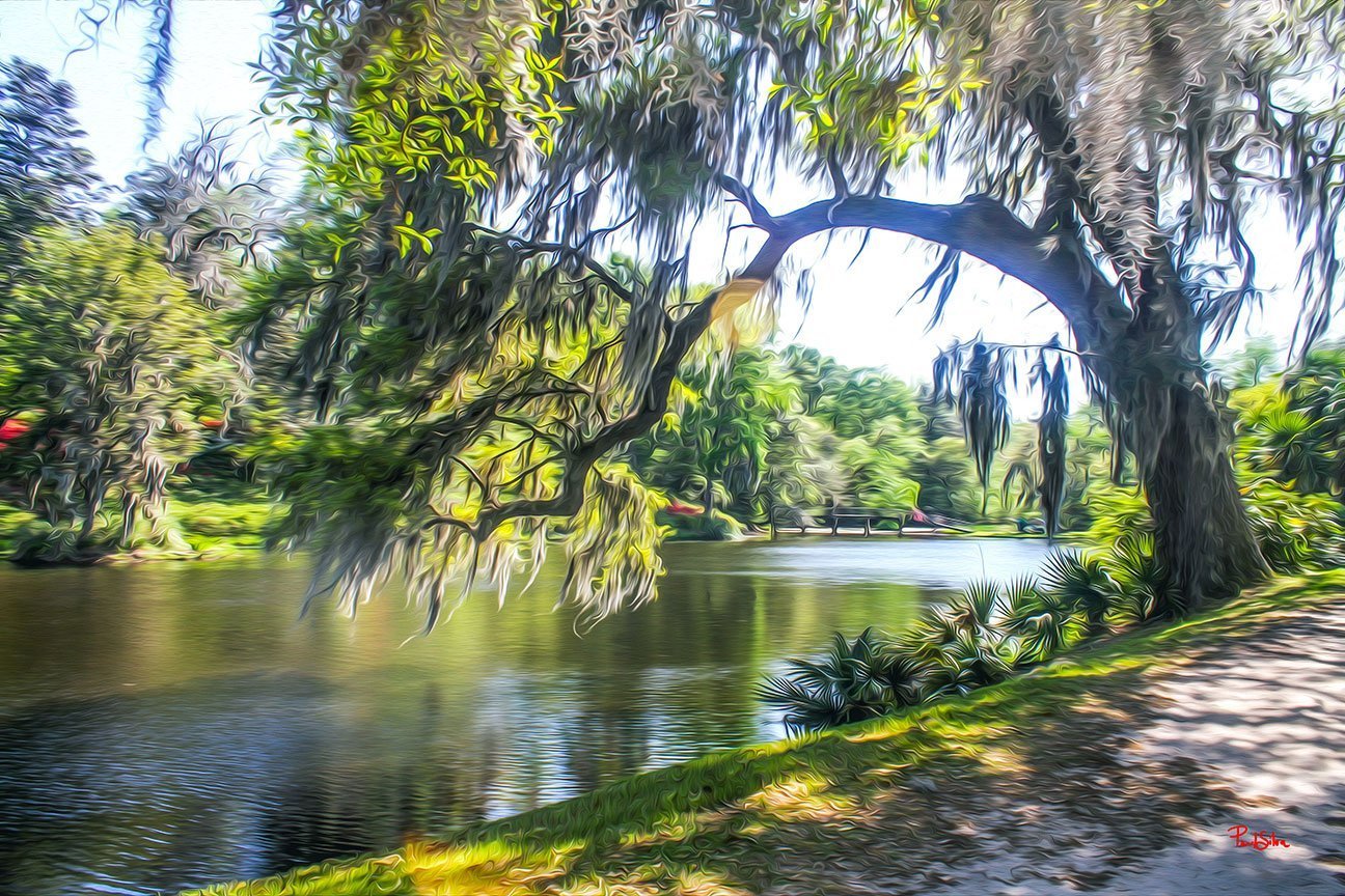 "Middleton Place 8737"