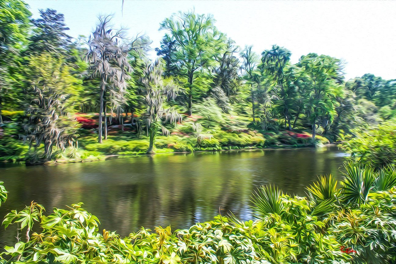 "Middleton Place 8754"