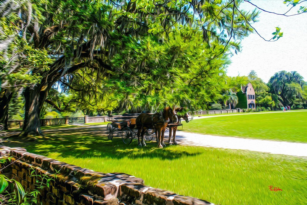 "Middleton Place 8706"