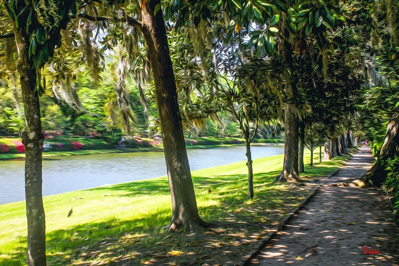 "Middleton Place 8698"