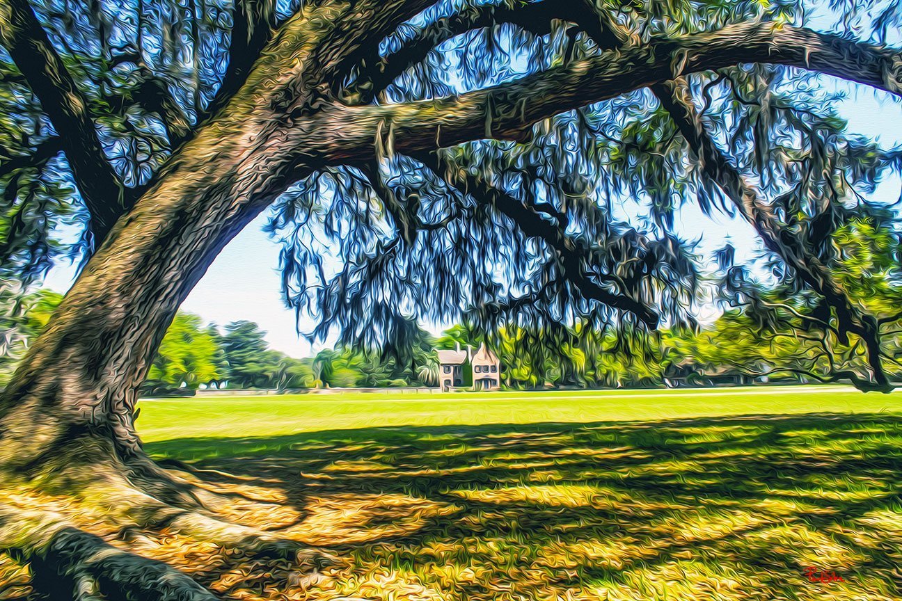 "Middleton Place 8686"