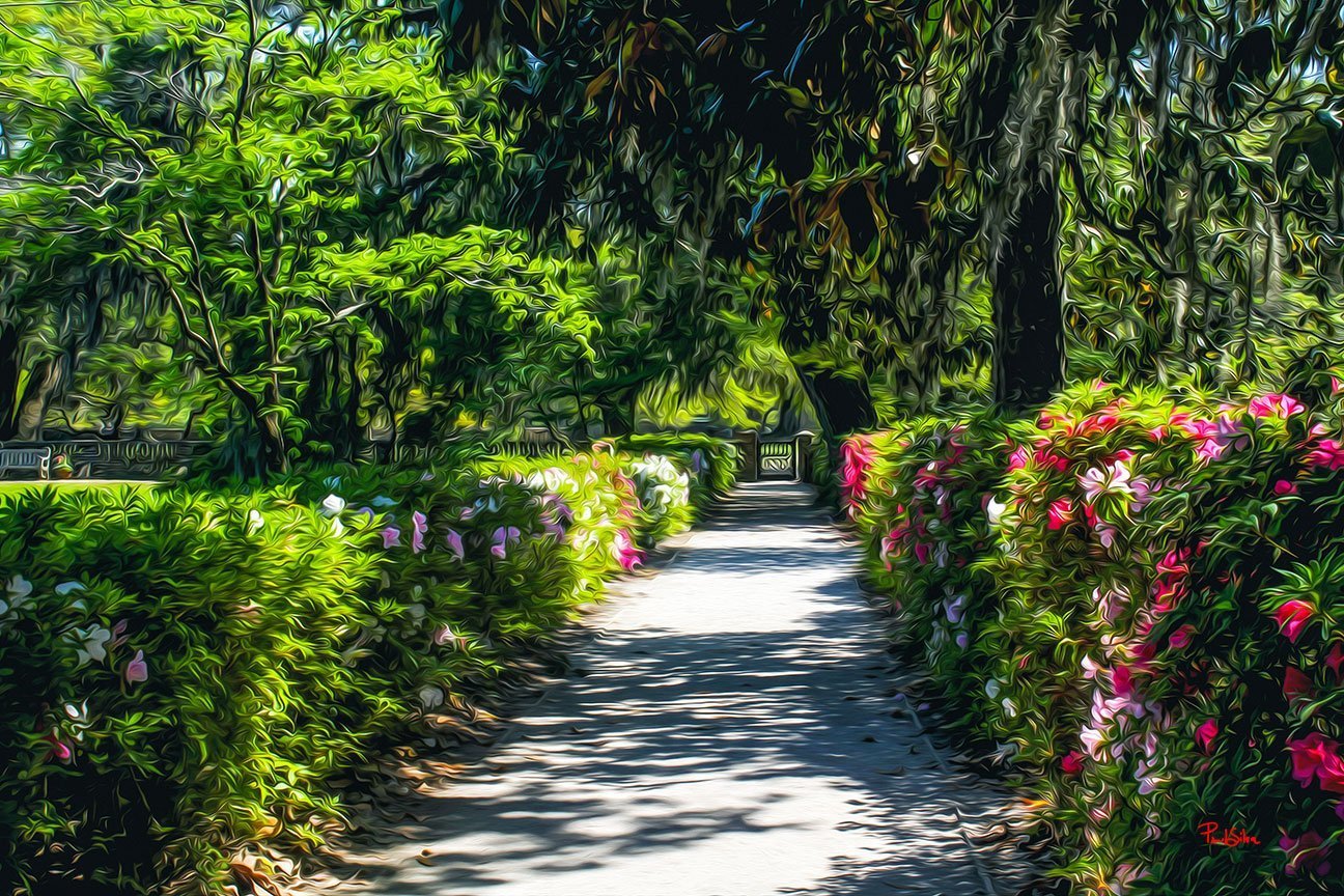 "Middleton Place 8682"