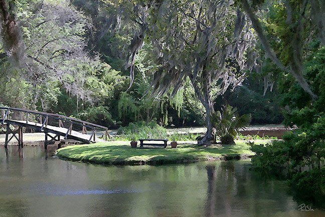 "Middleton Place Epoch Footbridge"
