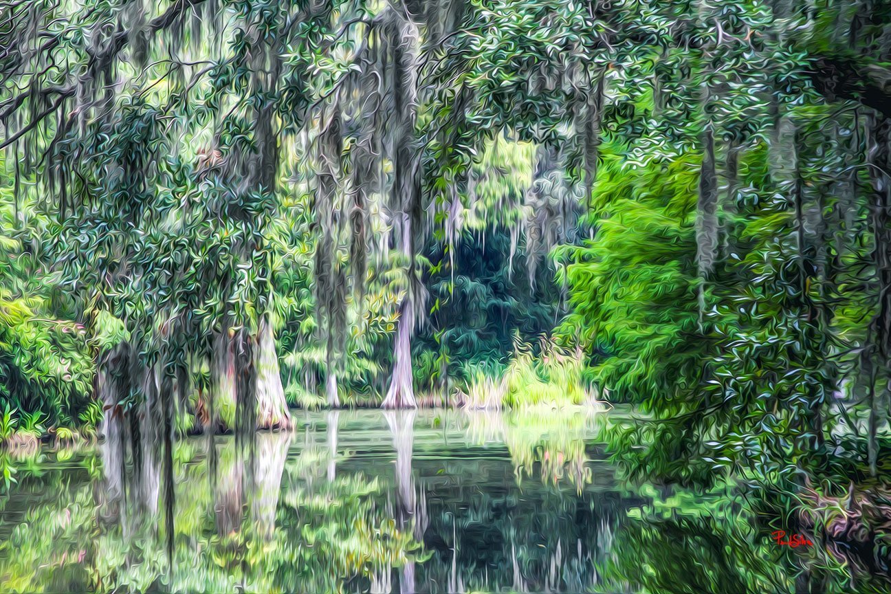 "Vibrant Life Magnolia Plantation 9157"