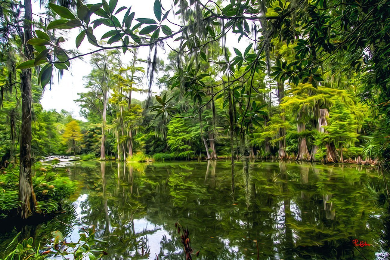 "Vibrant Life Magnolia Plantation 9112"