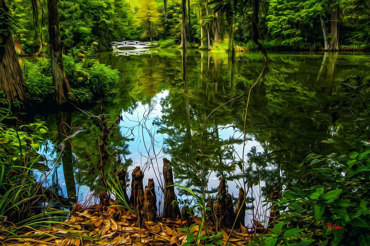 "Vibrant Life Magnolia Plantation 9105"