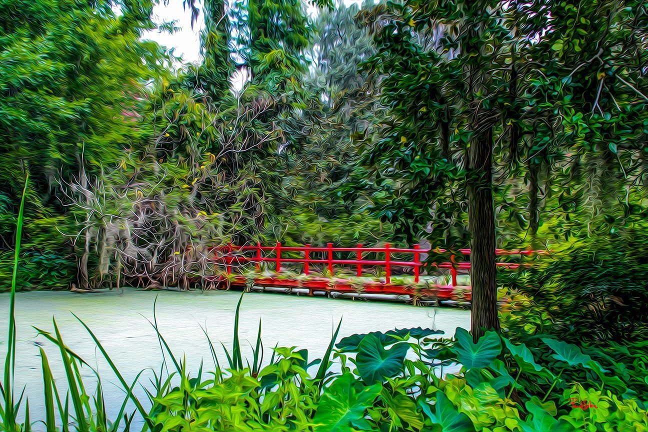 "Vibrant Life Magnolia Plantation 9011"