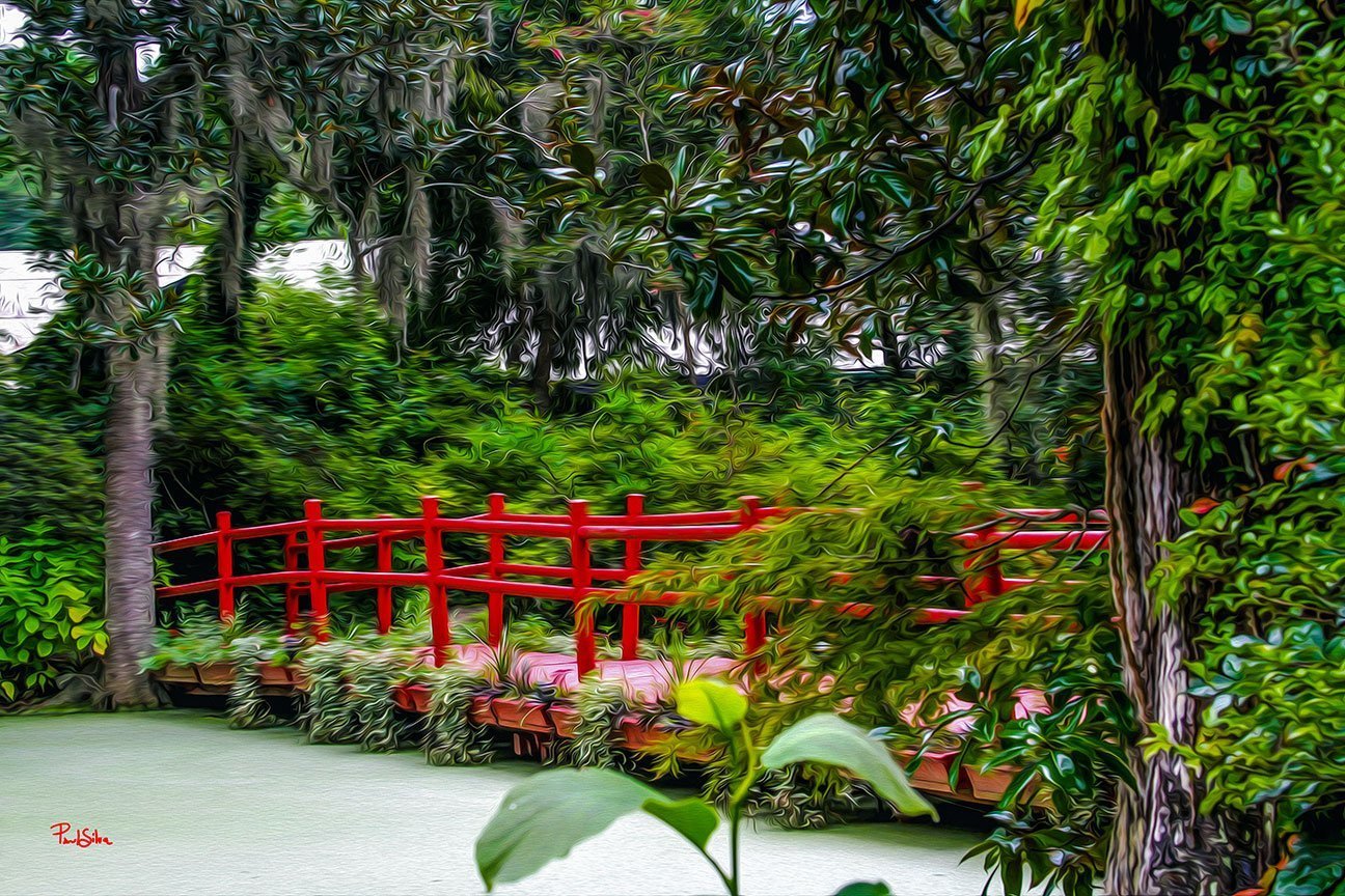 "Vibrant Life Magnolia Plantation 9031"
