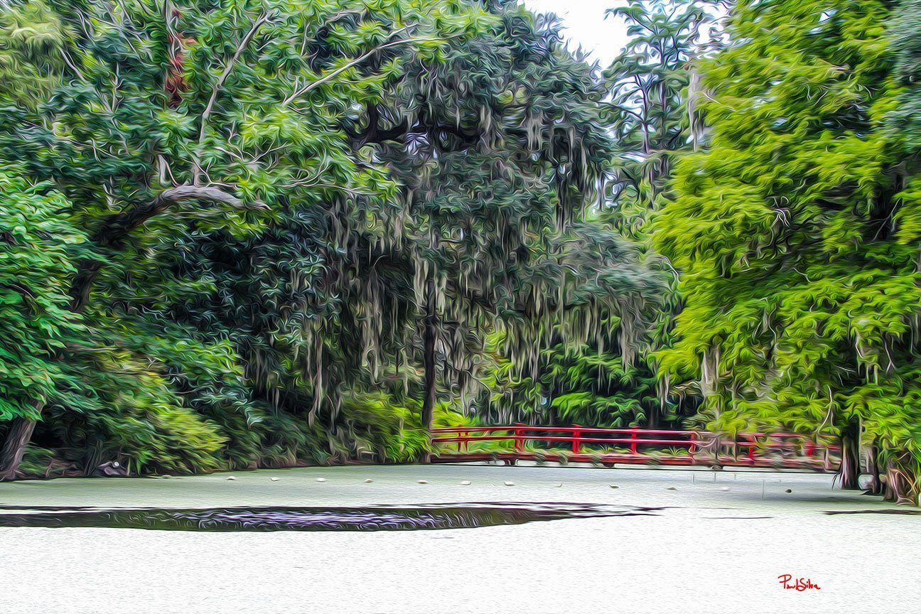 "Vibrant Life Magnolia Plantation 9040"