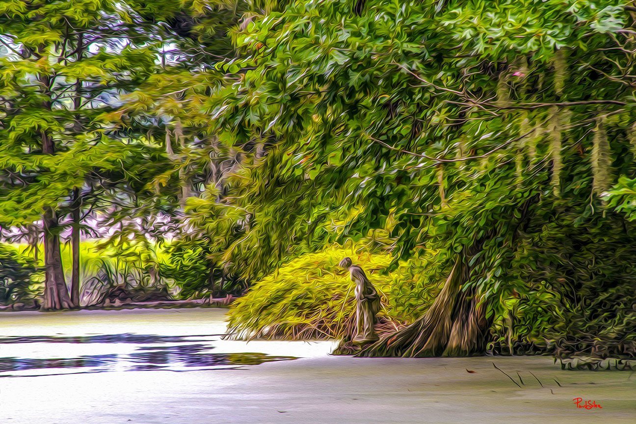 "Vibrant Life Magnolia Plantation 9023"