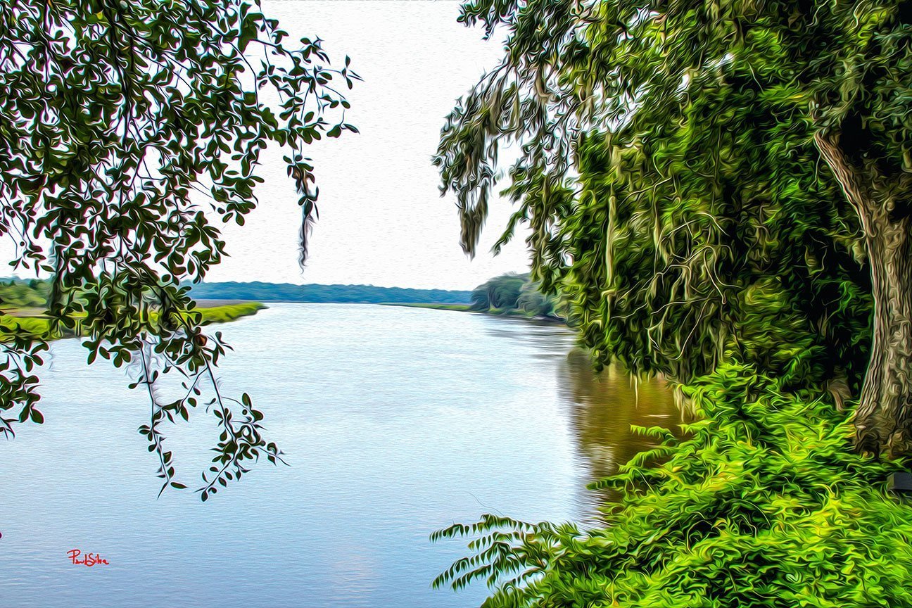 "Vibrant Life Magnolia Plantation 8995"