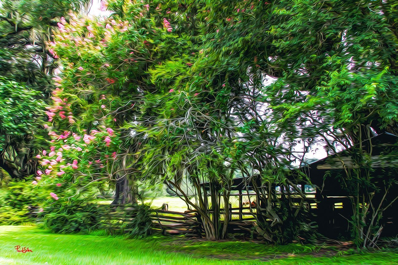 "Vibrant Life Magnolia Plantation 8952"