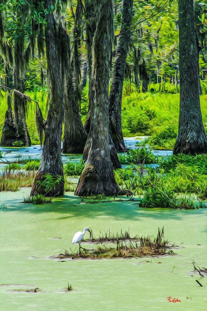 "Vibrant Life Magnolia Plantation 8909"
