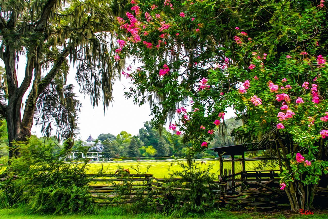 "Vibrant Life Magnolia Plantation 8949"