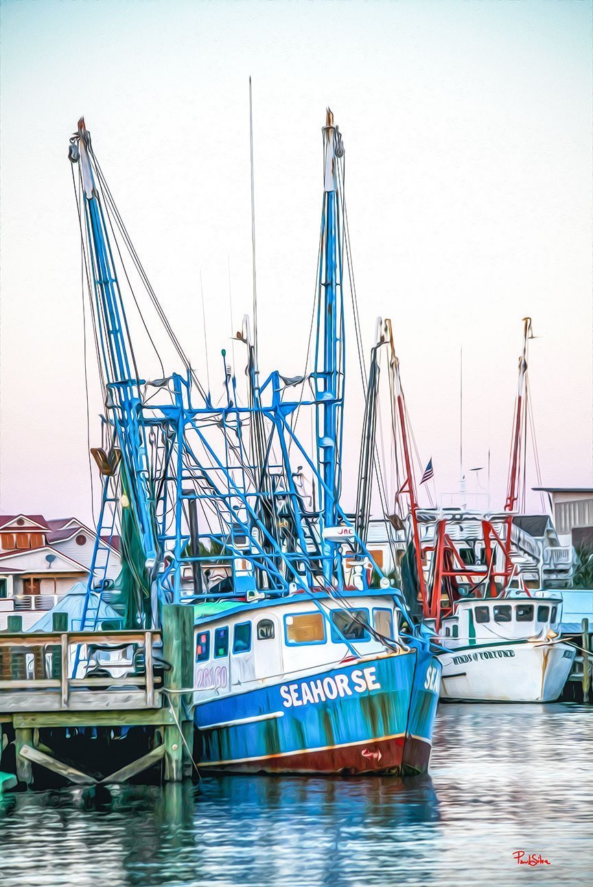 "Vibrant Life Shem Creek Seahorse"