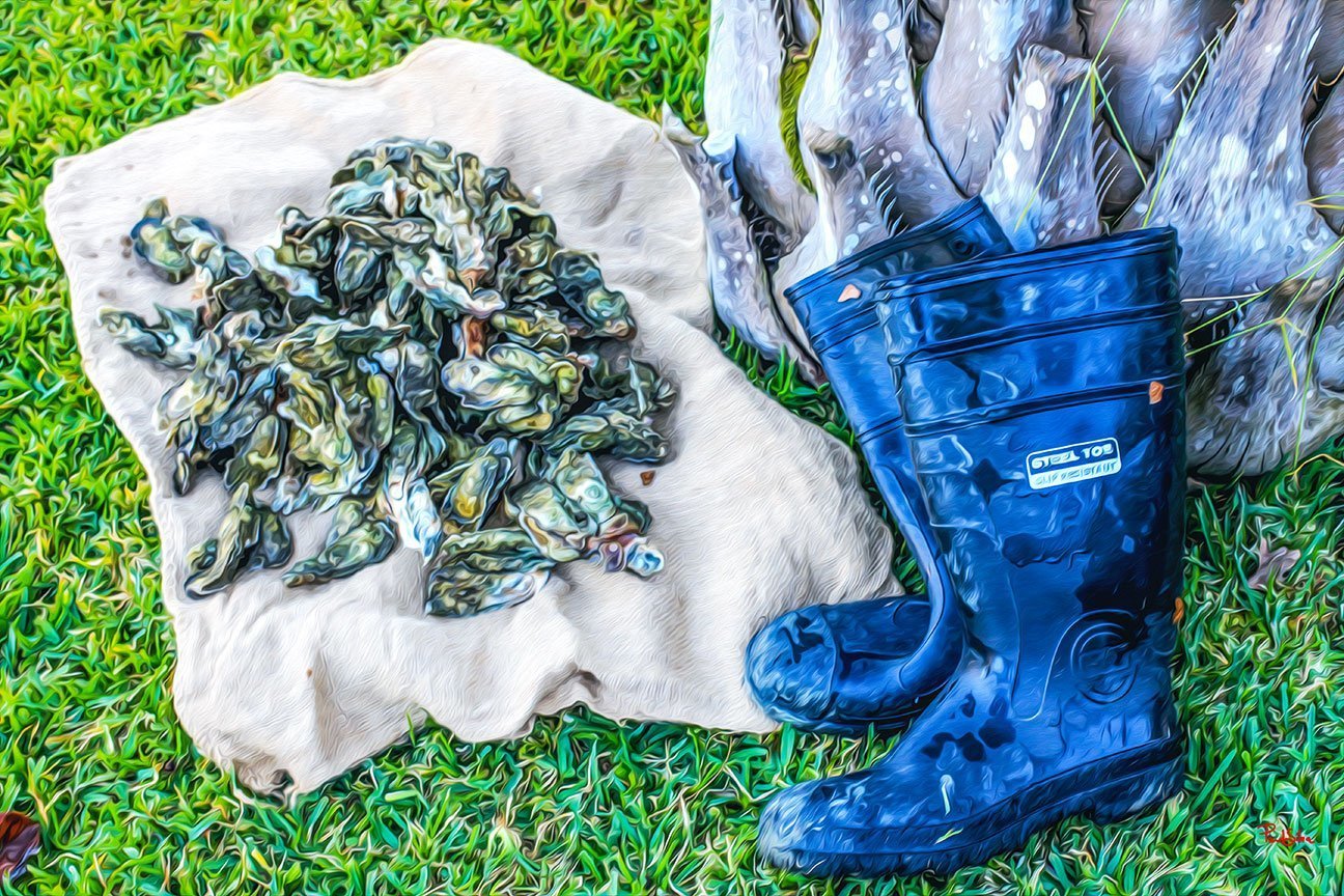 "Vibrant Life Oyster Boots"